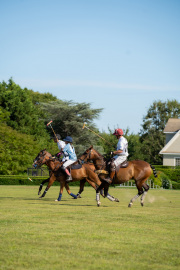 polo42