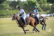 polo43